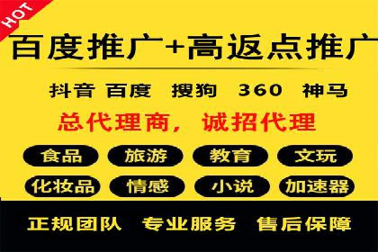 大型SEM服务公司案例分析